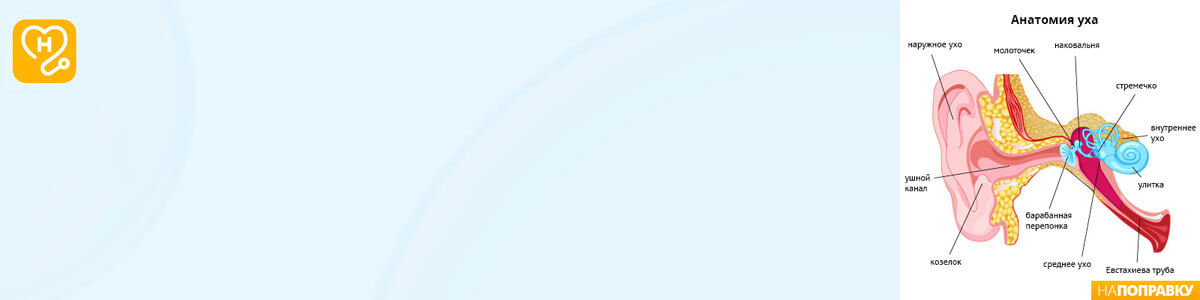 Тугоухость: причины, лечение и степени. Как лечить тугоухость и к ...