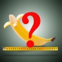 Размер пениса: как узнать норму?
