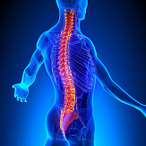 Мрт поясничного отдела позвоночника цена акция